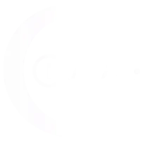 IAA Flow BW logo